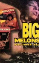 Big Melons 3 (1985) izle
