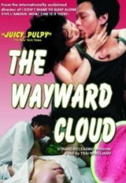 Serseri Nazlı Bulut – The Wayward Cloud izle