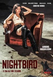 Nightbird Erotik Film izle